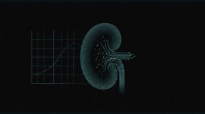 Ilustración de un riñón en líneas cian sobre fondo negro junto a una gráfica de filtrado glomerular